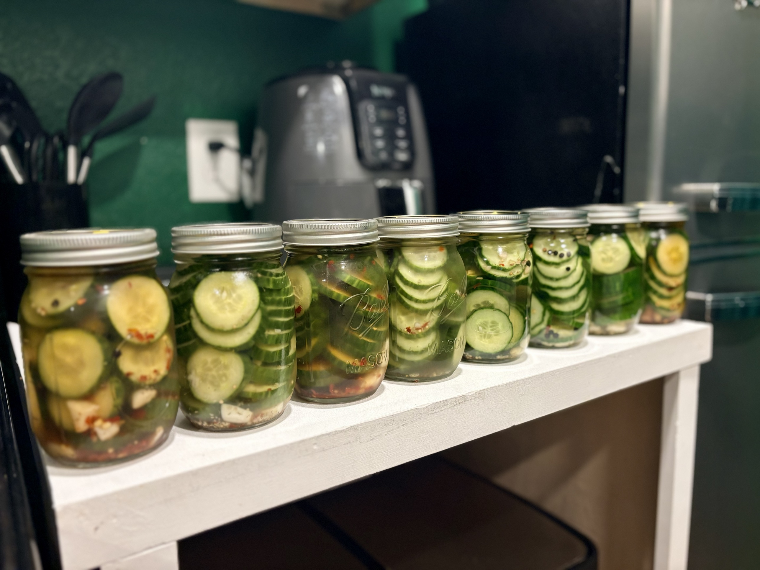 A row of Sara's finished jars of homemade dill cucumber pickles